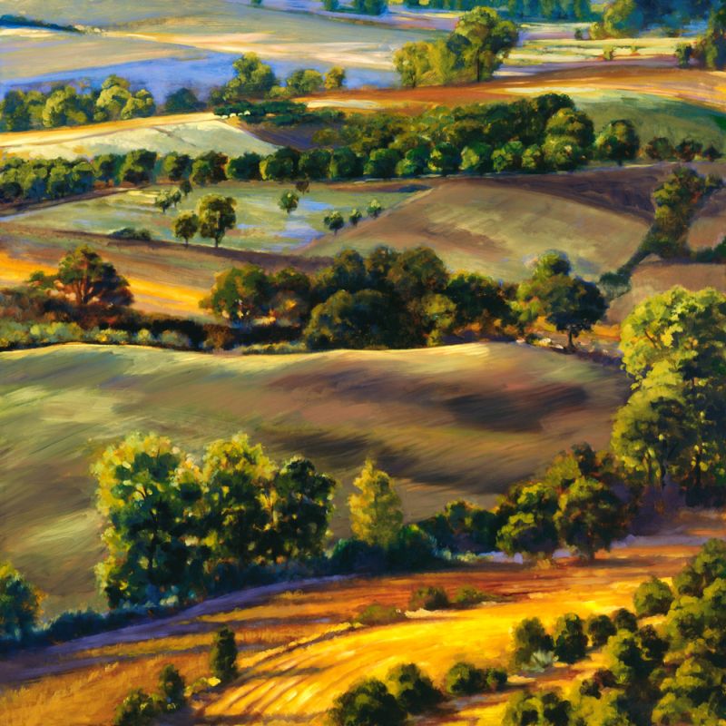 Umbrian Hills I