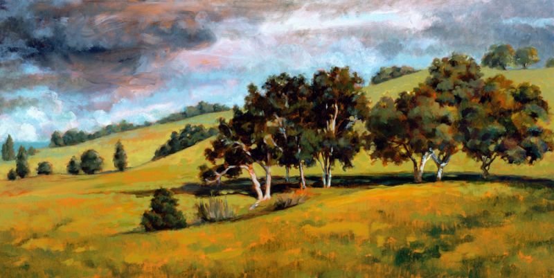 Sonoma Hills