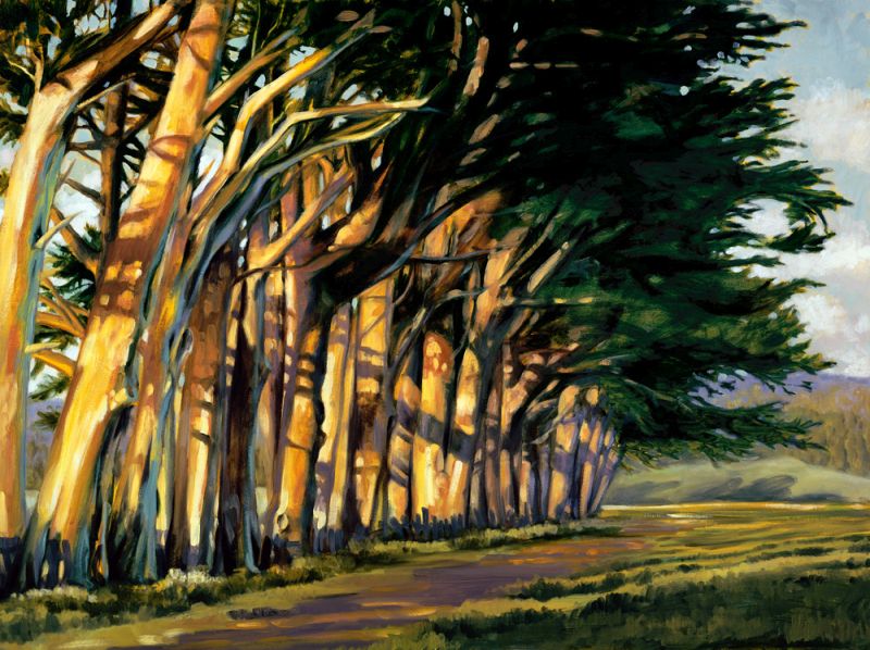 The Hedge Row