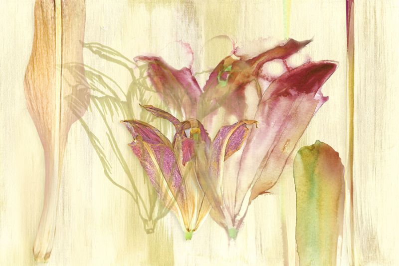 Efflorescence