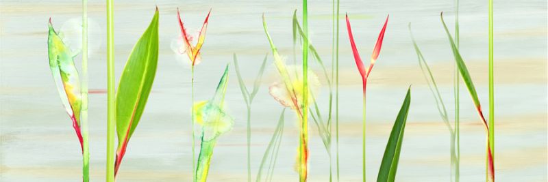 Stems in Tropics I