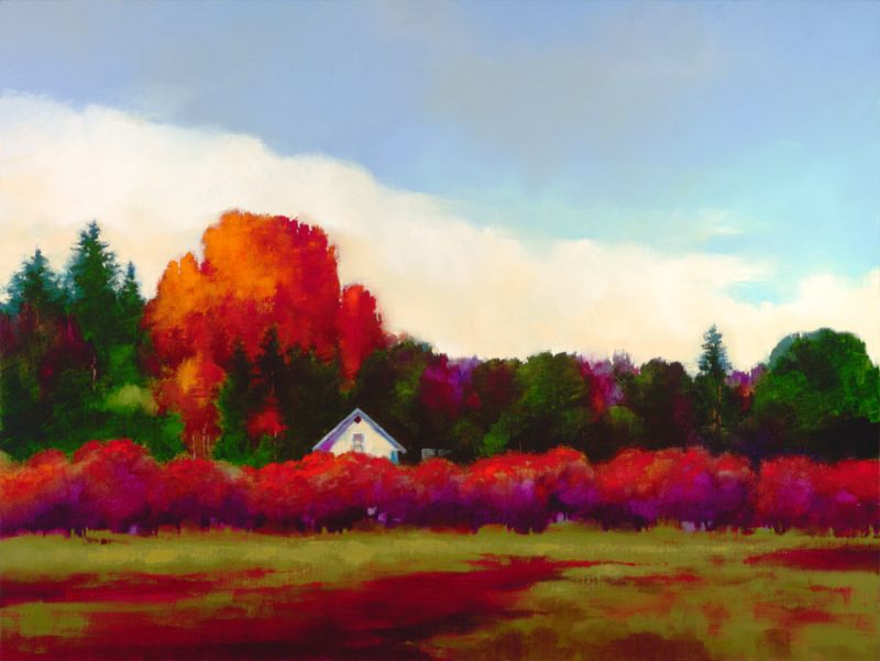 Grapevines in Autumn