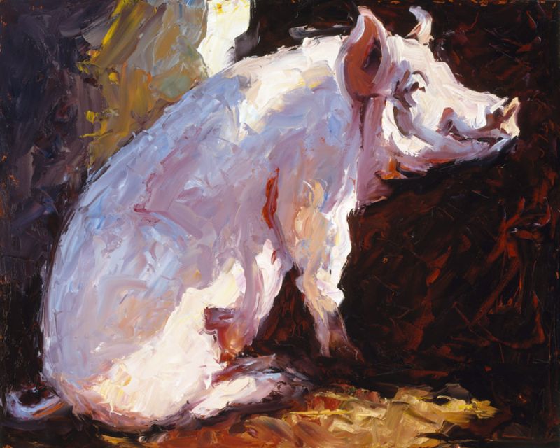 Pig in a Pen