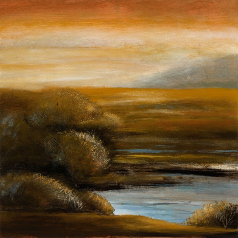 Hidden Cove 1