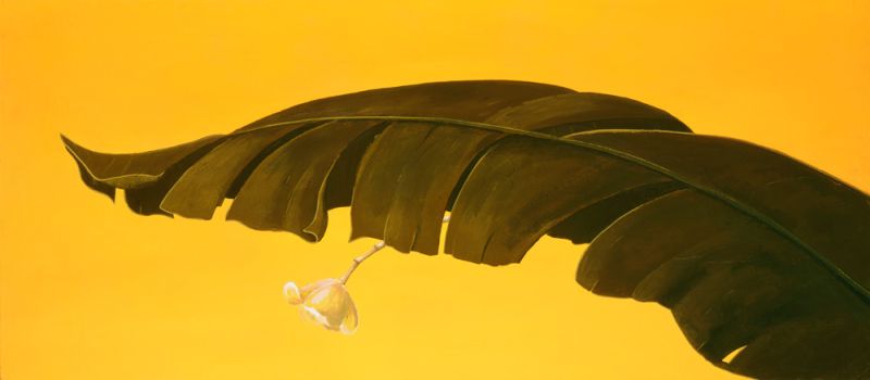 Banana Leaf I