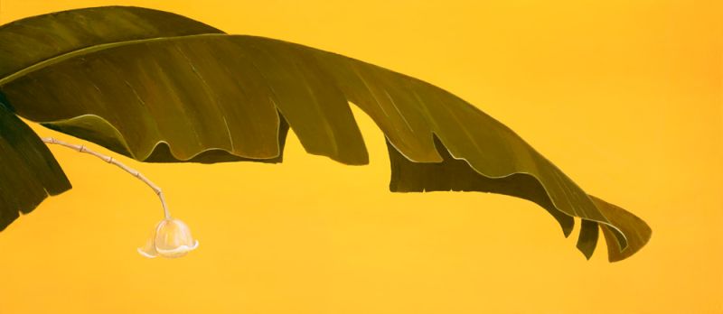 Banana Leaf II