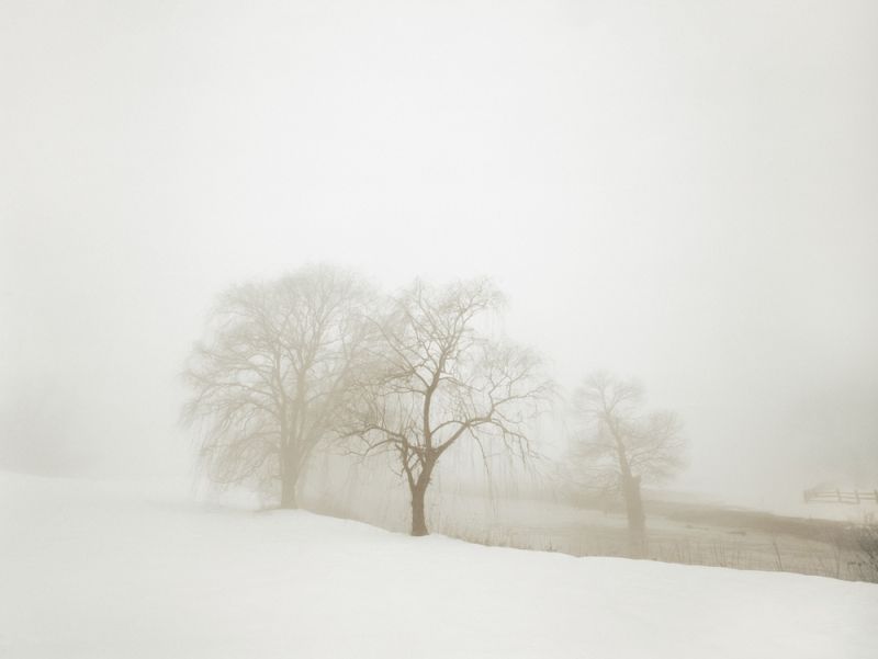 White Fog #1