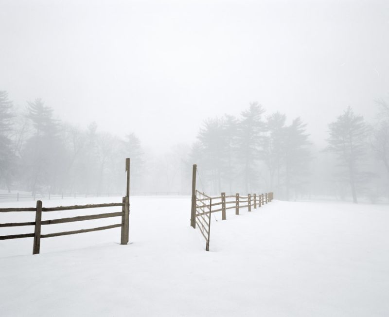 White Fog #2