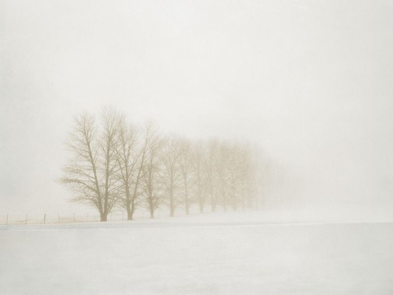 White Fog #3