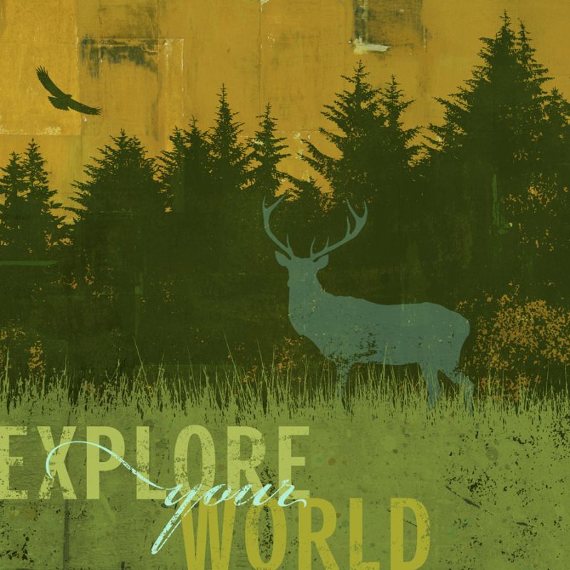 Explore Your World 1