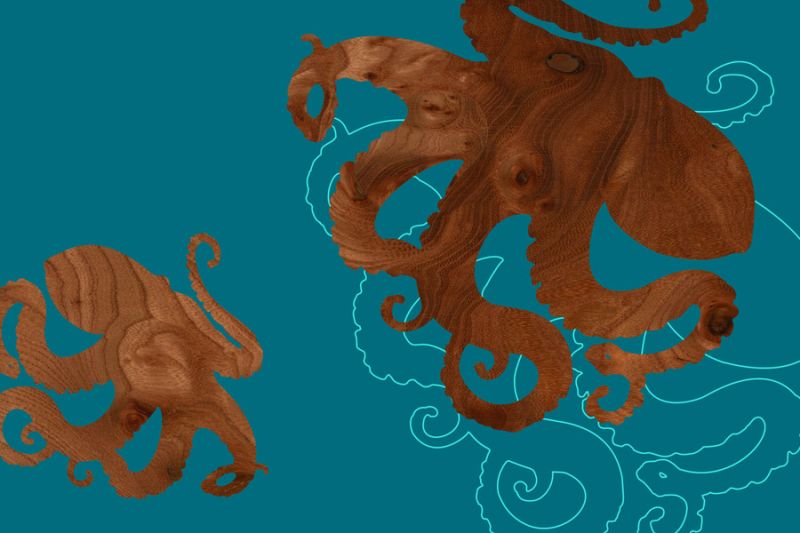 Octopus 1