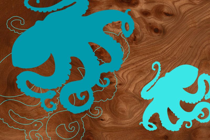 Octopus 2