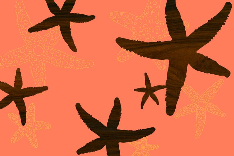 Starfish 1