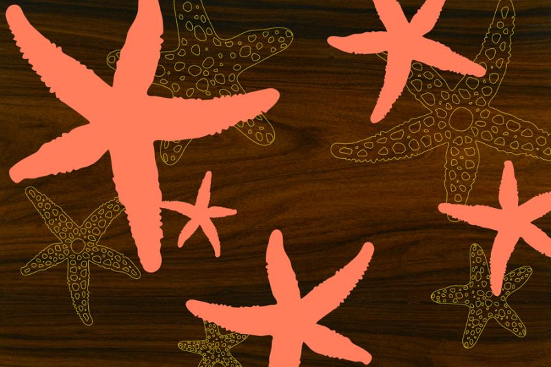 Starfish 2