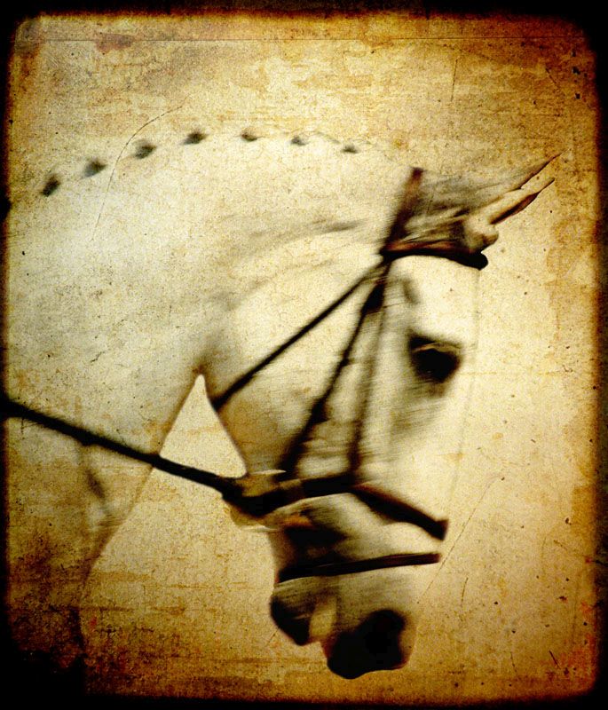 Dressage Horse