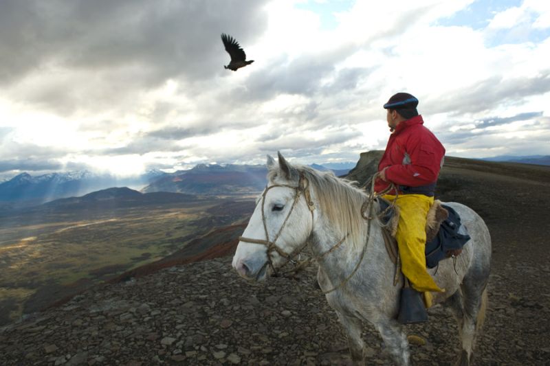Gaucho and Condor Natales Chile