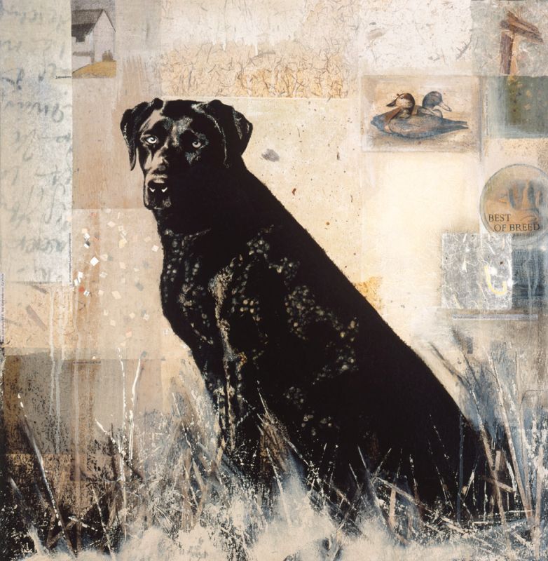 Best of Breed