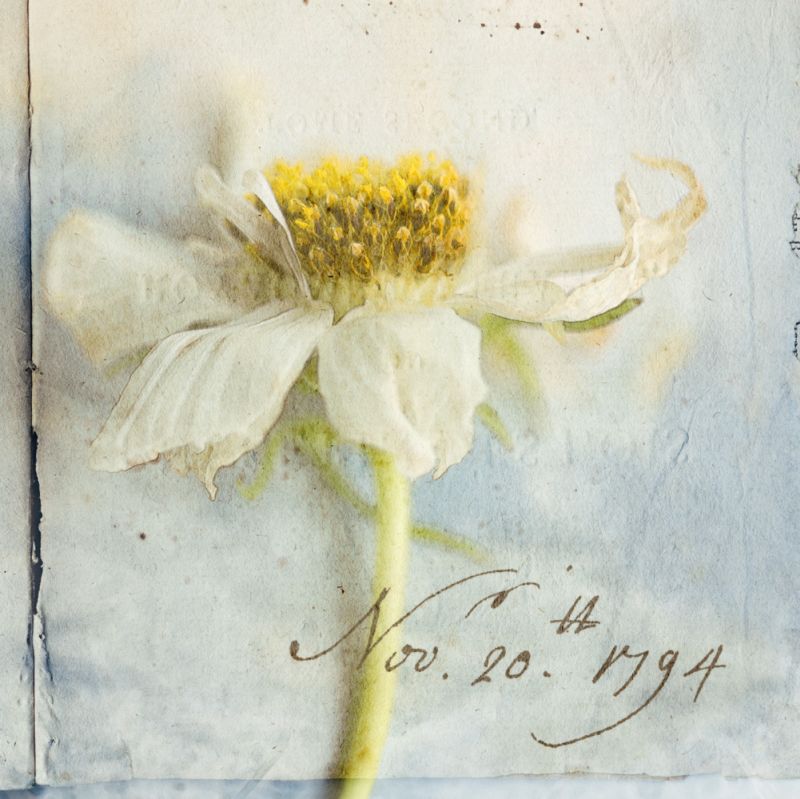 Cosmos 2