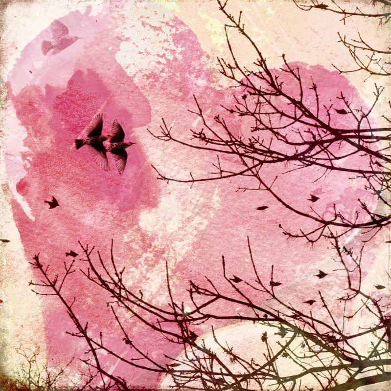 Pink Flight 1