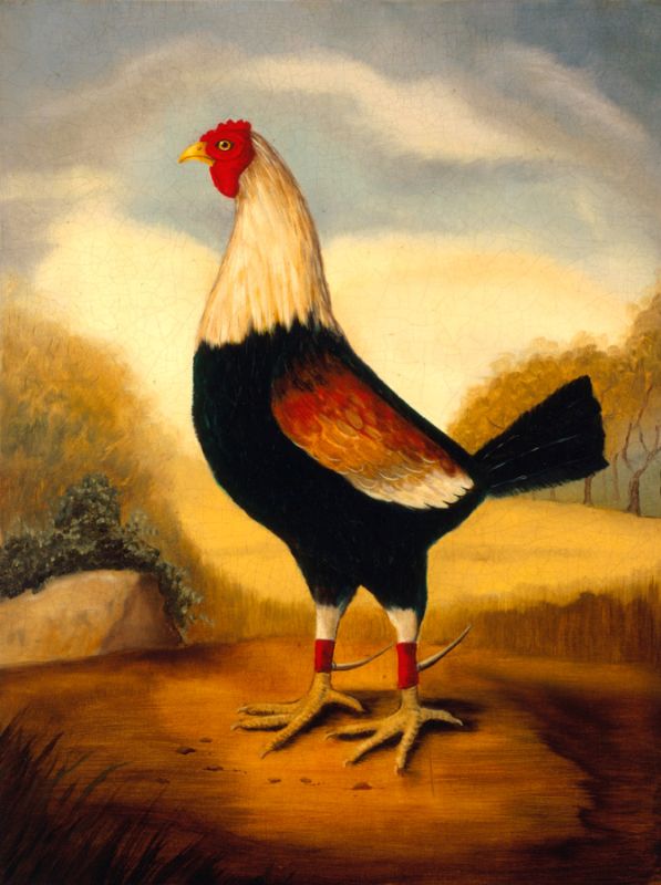 Fighting Cocks 1, Alexandra Churchill