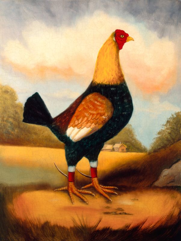 Fighting Cocks 2, Alexandra Churchill