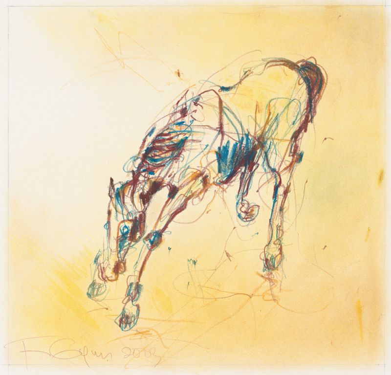 Horse studies 1, Fran Gyn