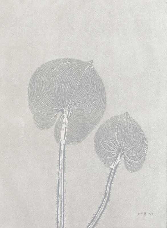 Gray Pair 2
