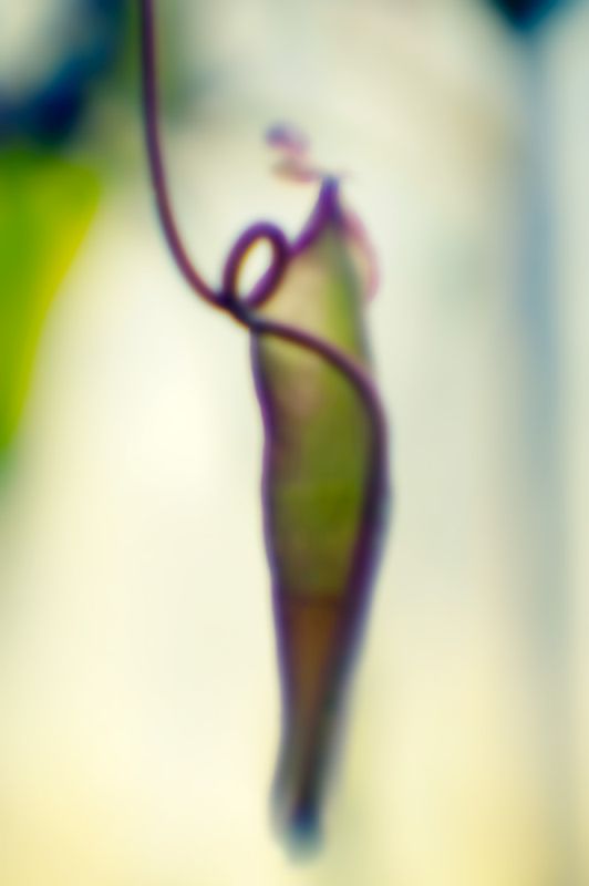 Sensual 4