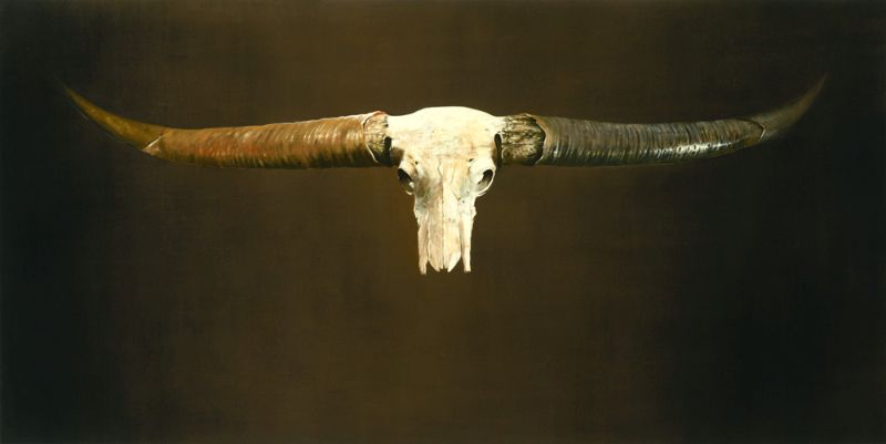 Skull