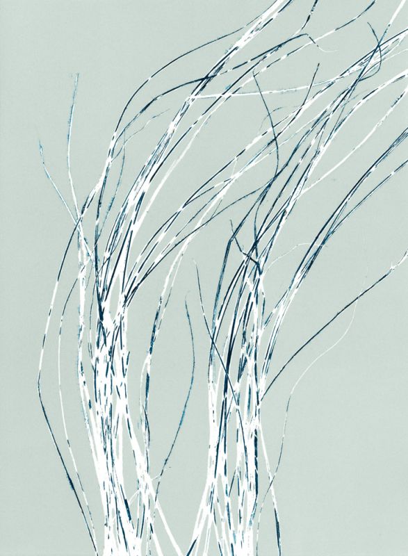 Sea Grass 2