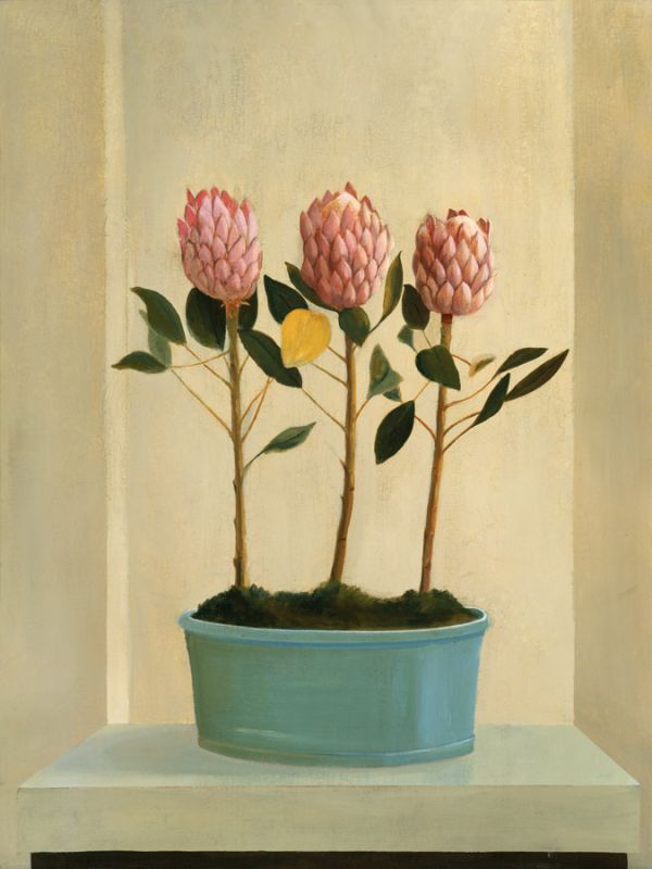 Protea Stand