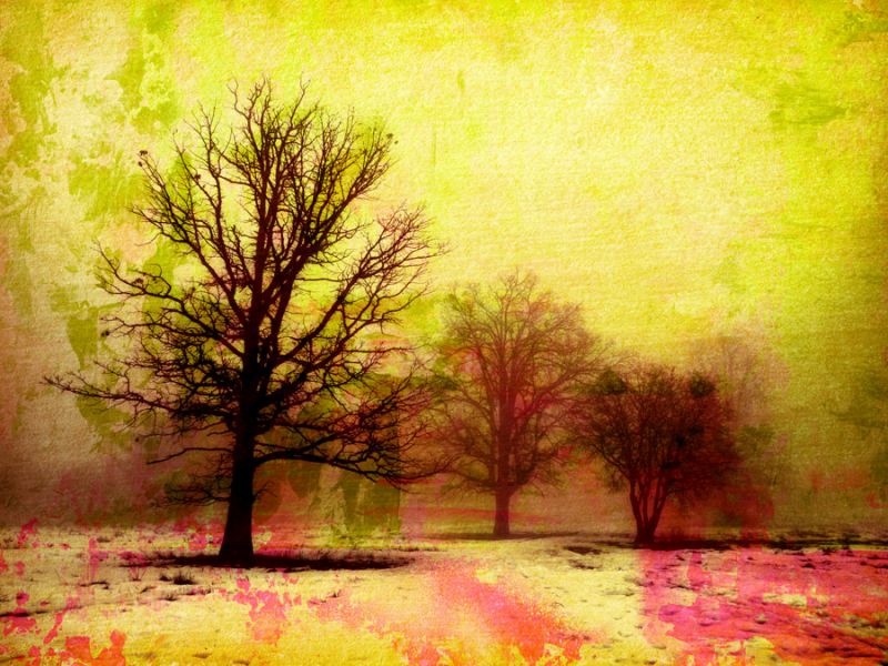 Winter Solstice A