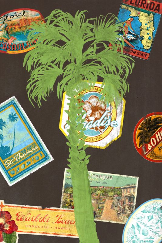 Palm 2