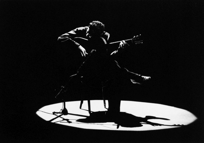 The Musician