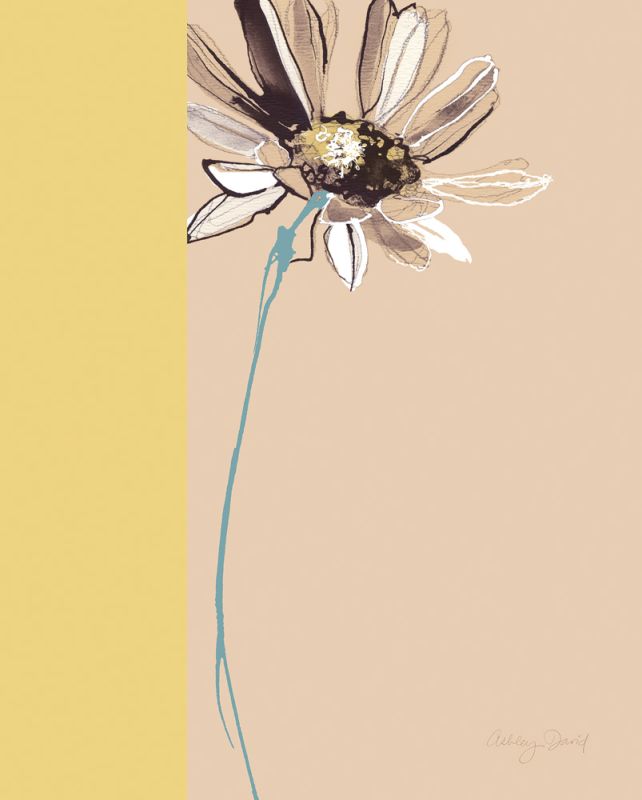 Simplicity 1