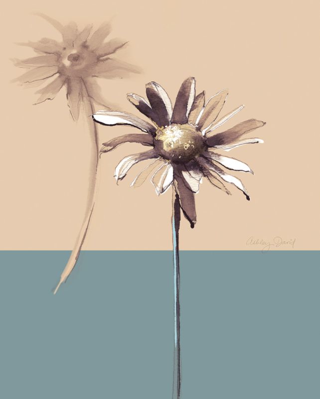 Simplicity 2