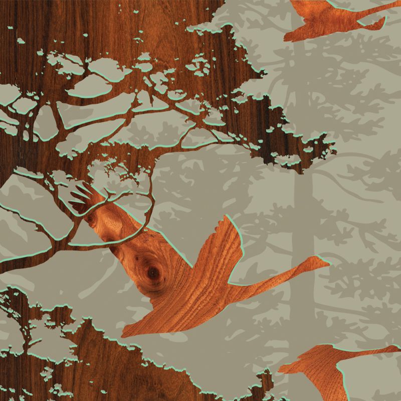 Bird 2