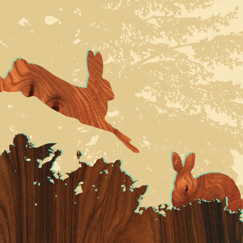 Bunny 1