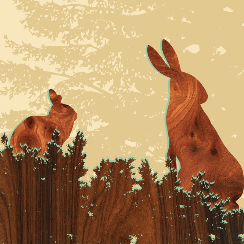 Bunny 2