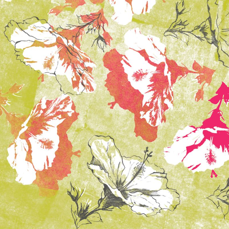 Graphic Hibiscus A