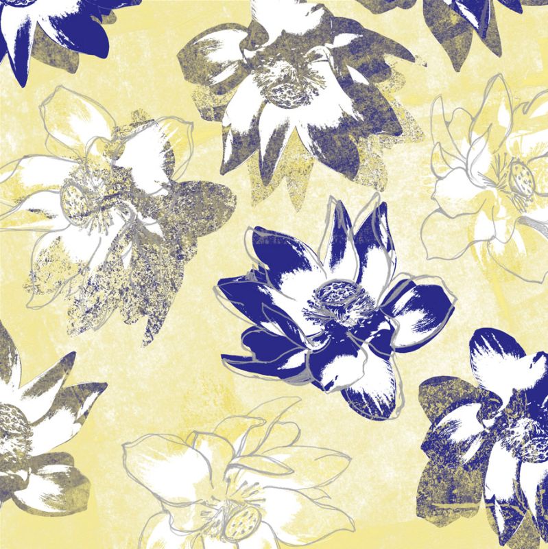 Graphic Lotus C