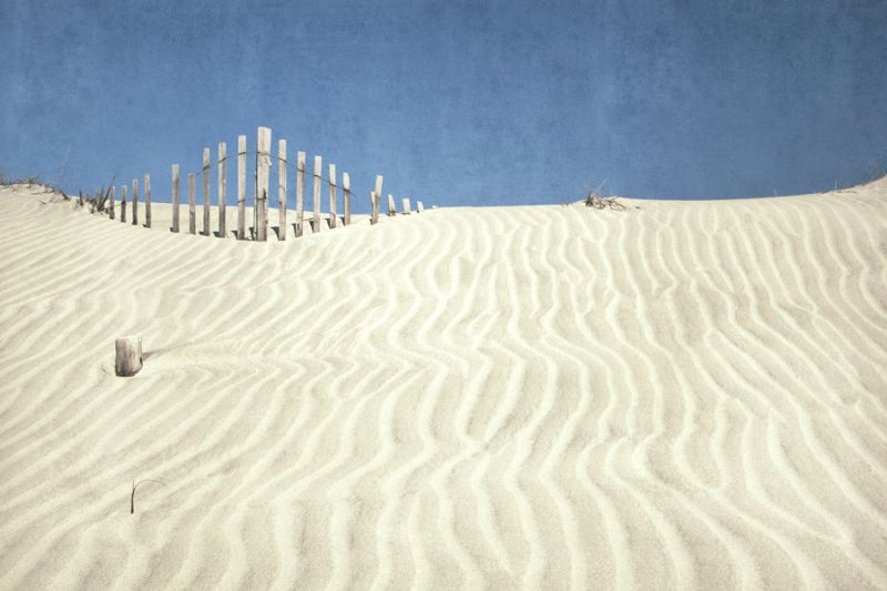 Sand Dune and Fence