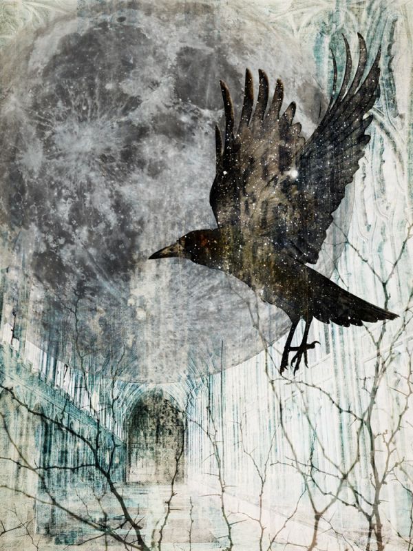 Full Moon Rising