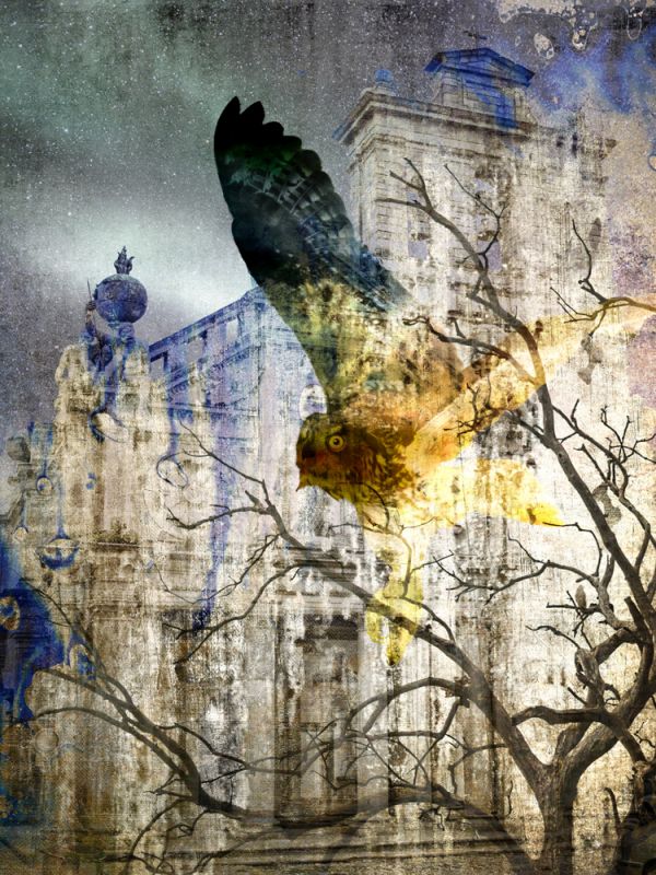 Watchers of the Night