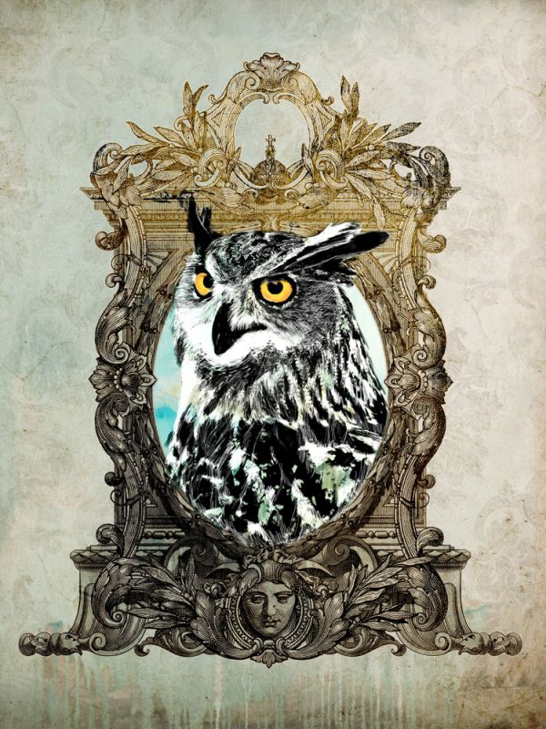 Portrait of Mr. Owl