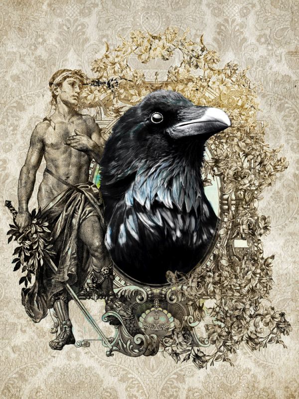 Portrait of Mr. Raven