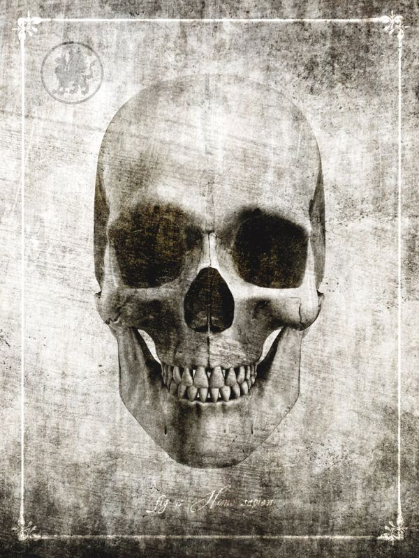 Macabre Collection E