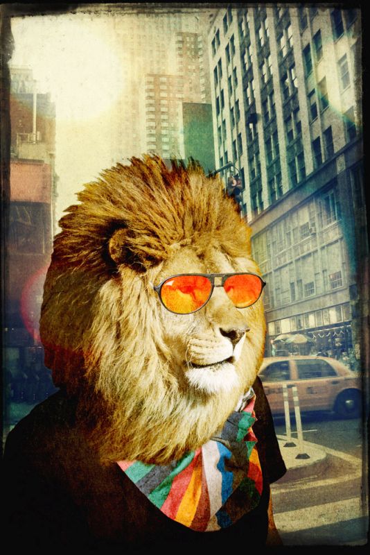 King Lion of the Urban Jungle