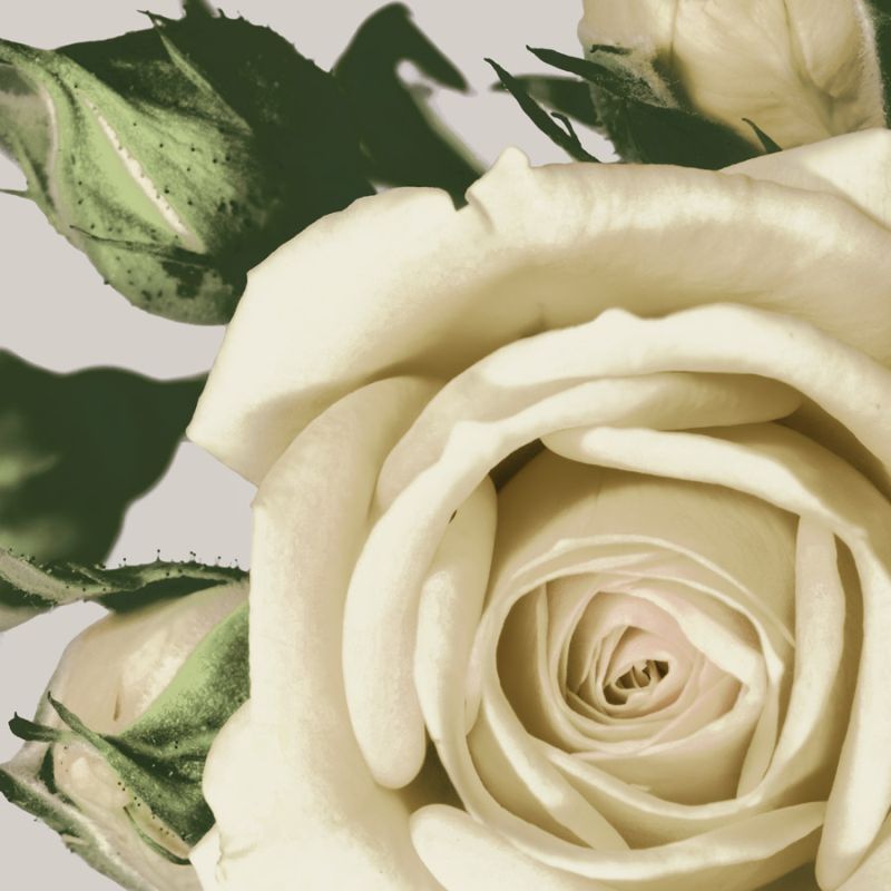 Vintage Florals I