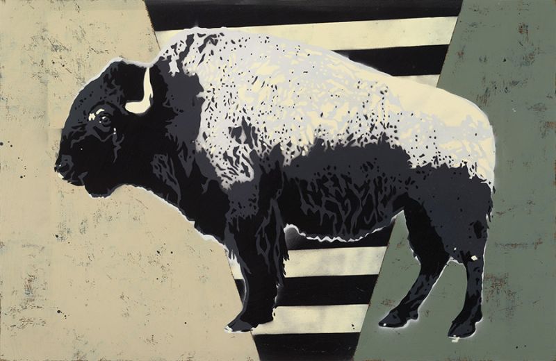 Bison